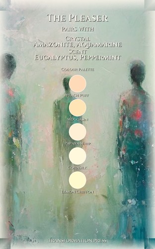Pleaser Self Love And Worth Field Guide: Your Plan Designed preview 3