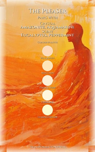 Pleaser: Your Grief And Loss Mastery: Secure Your Path preview 3
