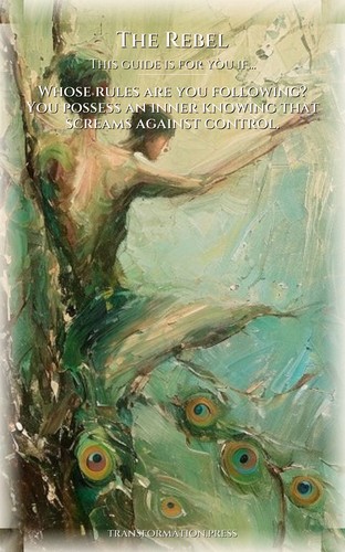 Rebel Fear And Anxiety: Complete Guide: Unblock Your Life preview 4