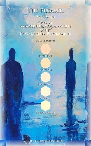 Self Sabotage Resource: Pleaser: Your Rise Consolidated preview 3