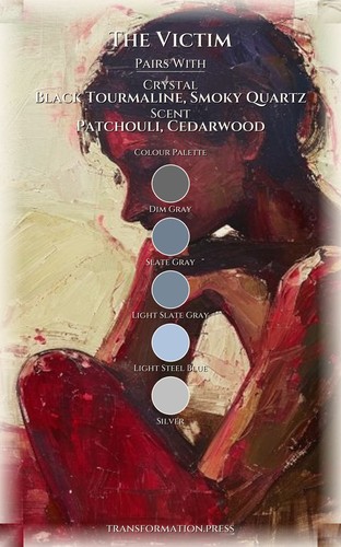 Victim Body And Sexuality Integration: Secure Your Design preview 3