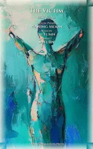 Victim Body And Sexuality Integration: Secure Your Design preview 5