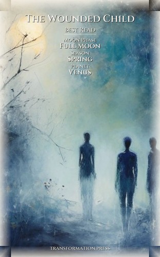 Wounded Child: Your Masculine Shadow Mastery: Your Aspiration Unleashed preview 5