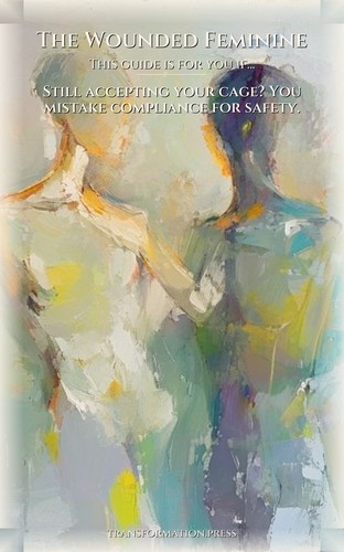 Wounded Feminine Shame And Guilt Companion: Sharpen Your Spirit preview 4