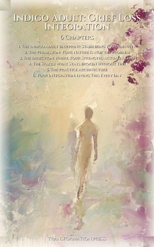Indigo Adult: Grief Loss Integration: Systematize Your Expression preview 2