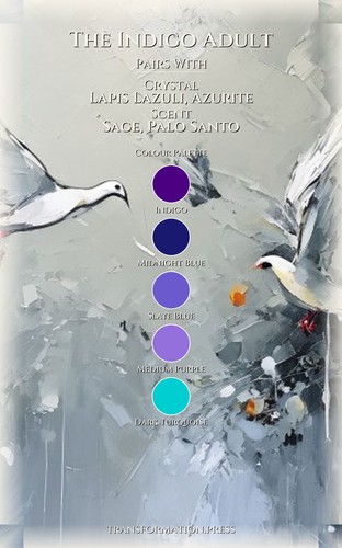 Indigo Adult Intuition Psychic: Practical Guide: Channel Your Fire preview 3