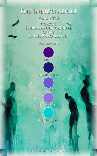 Indigo Adult Path to Boundaries Sensitivity: Vitalize Your Kingdom preview 3