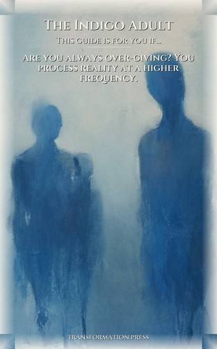 Indigo Adult Path to Boundaries Sensitivity: Vitalize Your Kingdom preview 4