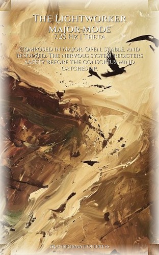 Lightworker: Boundaries Sensitivity Integration: Prioritize Your Excellence preview 6