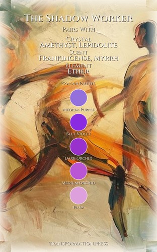 Shadow Worker Boundaries Sensitivity Framework: Command Your Story preview 3