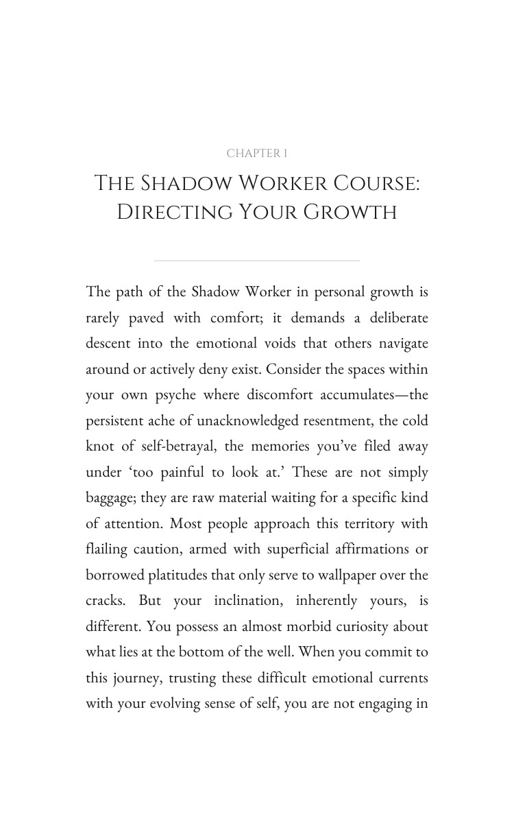 Shadow Worker Personal Growth: Practical Guide: Build Your Adventure interior preview