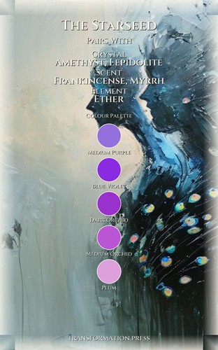 Spiritual Awakening Integration Framework: Starseed: Your Rise Conducted preview 3