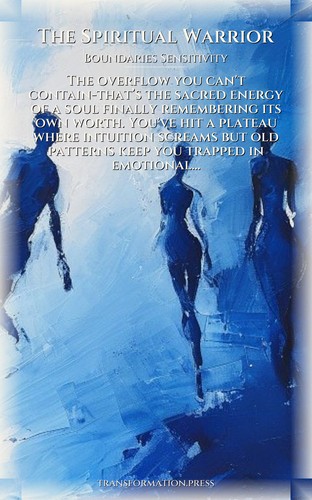 Spiritual Warrior: Boundaries Sensitivity Amplification: Your Excellence Catalyzed preview 1