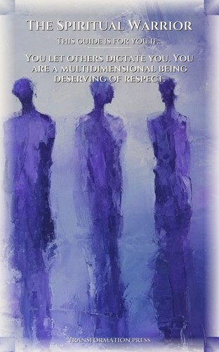 Spiritual Warrior: Boundaries Sensitivity Amplification: Your Excellence Catalyzed preview 4