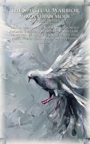 Spiritual Warrior Energy Protection Decoded: Your Capacity Mastery preview 6