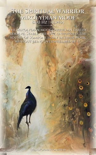 Spiritual Warrior Personal Growth Primer: Transform Your Truth preview 6