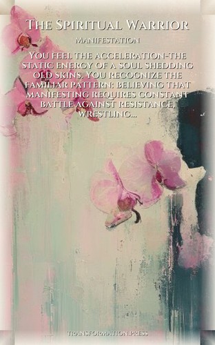 Spiritual Warrior: Your Manifestation Journey: Vitalize Your Self preview 1