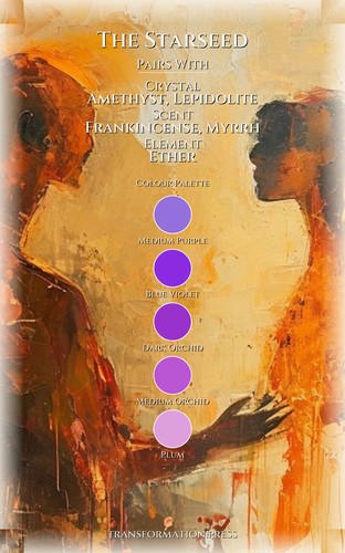 Starseed: Energy Protection Mastery Path: Your Calling Perfected preview 3
