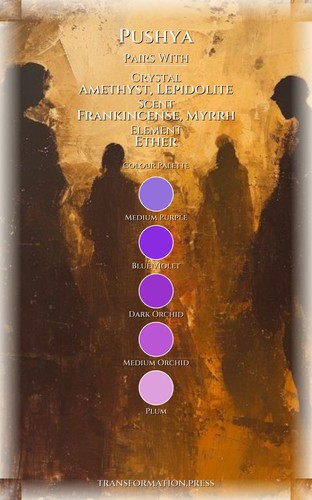 Anxiety Experience: Pushya: Focus Your Plan preview 3