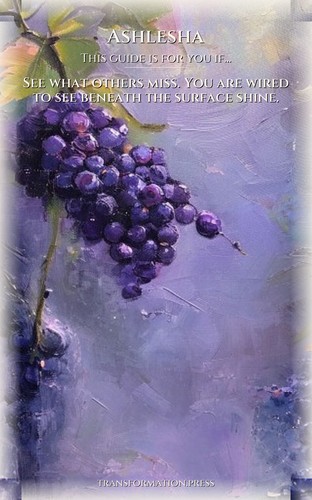 Ashlesha Creativity: Complete Guide: Your Quest Catalyzed preview 4