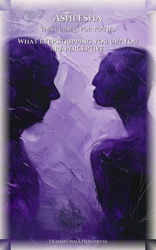 Ashlesha Shadow Work: Your Success Map: Your Blueprint Optimized preview 4