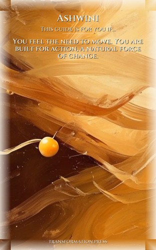 Ashwini Anxiety Guidebook: Target Your Heart preview 4