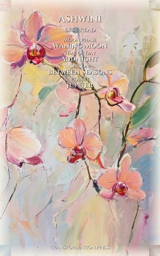 Ashwini Anxiety Guidebook: Target Your Heart preview 5