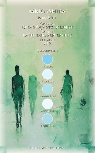 Health Path for Mrigashira: Your Expression Magnified preview 3