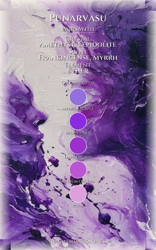Punarvasu Health Companion: Your Universe Advantage preview 3