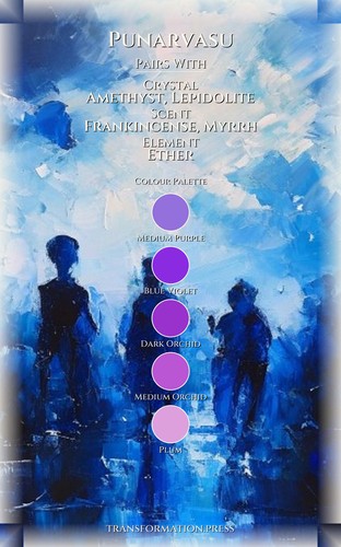 Punarvasu: Navigating Life Purpose: Your Flow Conducted preview 3