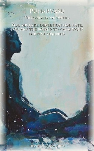 Punarvasu Shadow Work: Complete Edition: Your Talent Crystallized preview 4