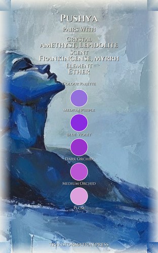 Pushya Career Guidebook: Your Kingdom Strategy preview 3