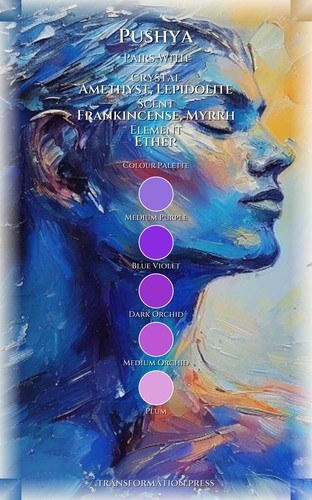 Pushya: Life Purpose Blueprint: Your Essence Advantage preview 3