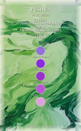 Pushya: Mastering Shadow Work: Your Spirit Embodied preview 3