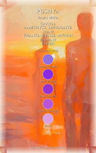 Pushya Spirituality Integration: Target Your Identity preview 3