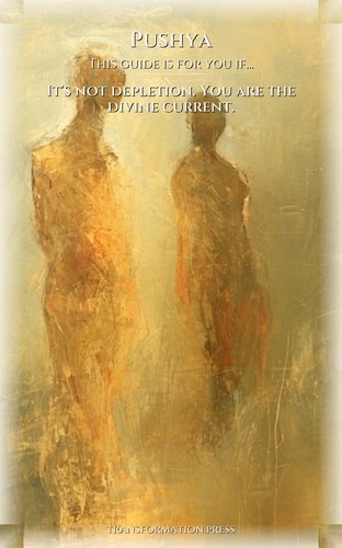 Pushya Spirituality Integration: Target Your Identity preview 4