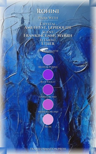 Rohini Health: Strategic Guide: Your Mastery Liberated preview 3