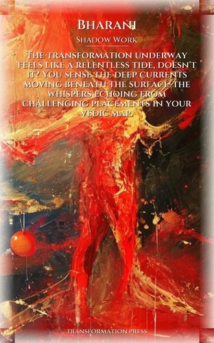 Shadow Work Navigator: Bharani: Calibrate Your Voyage preview 1
