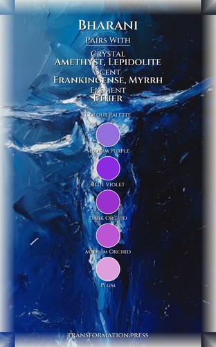 Shadow Work Navigator: Bharani: Calibrate Your Voyage preview 3