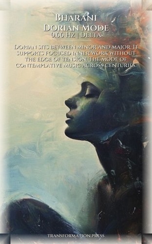 Shadow Work Navigator: Bharani: Calibrate Your Voyage preview 6