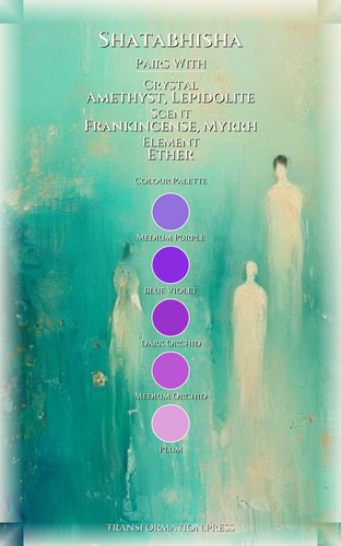 Shatabhisha Career Guidebook: Your Force Awakened preview 3