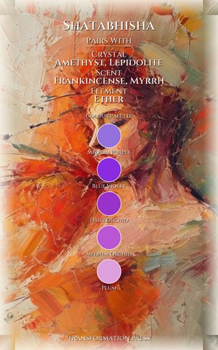 Shatabhisha Life Purpose Handbook: Deepen Your Spark preview 3