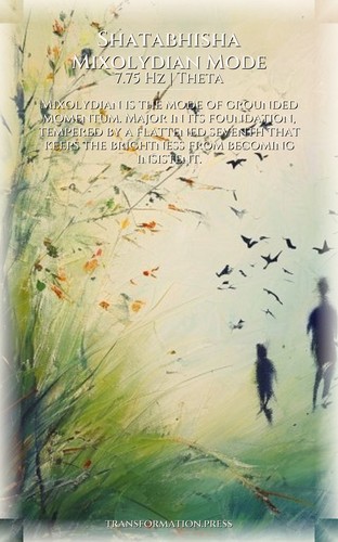 Shatabhisha Life Purpose Handbook: Deepen Your Spark preview 6