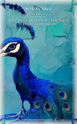 Shravana Anxiety: Your Success Map: Accelerate Your Energy preview 4