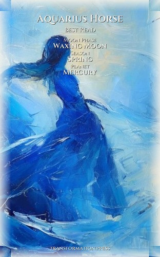 Aquarius Horse Career Success Strategy Guide: Reclaim Your Way preview 5