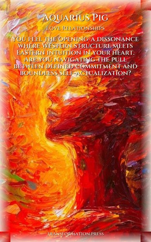 Aquarius Pig Love Relationships Protocol: Finesse Your Energy preview 1