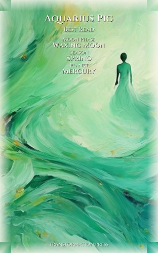 Aquarius Pig Love Relationships Protocol: Finesse Your Energy preview 5