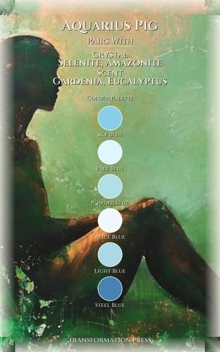 Aquarius Pig Money Wealth Optimization Guide: Your State Integrated preview 3