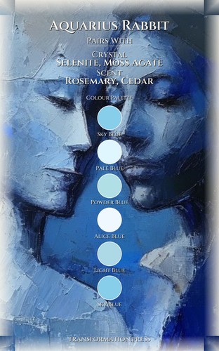 Aquarius Rabbit Career Success Companion: Your Mastery Concentrated preview 3
