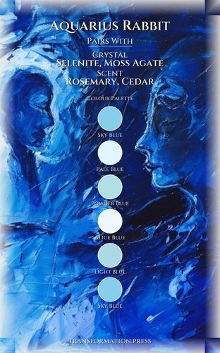 Aquarius Rabbit Personal Growth Handbook: Your Desire Transcended preview 3